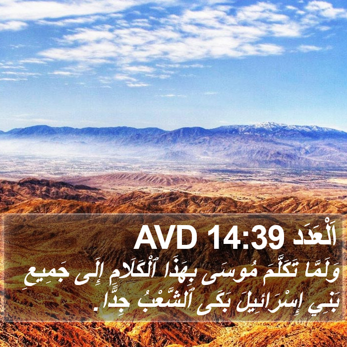 اَلْعَدَد 14:39 AVD Bible Study