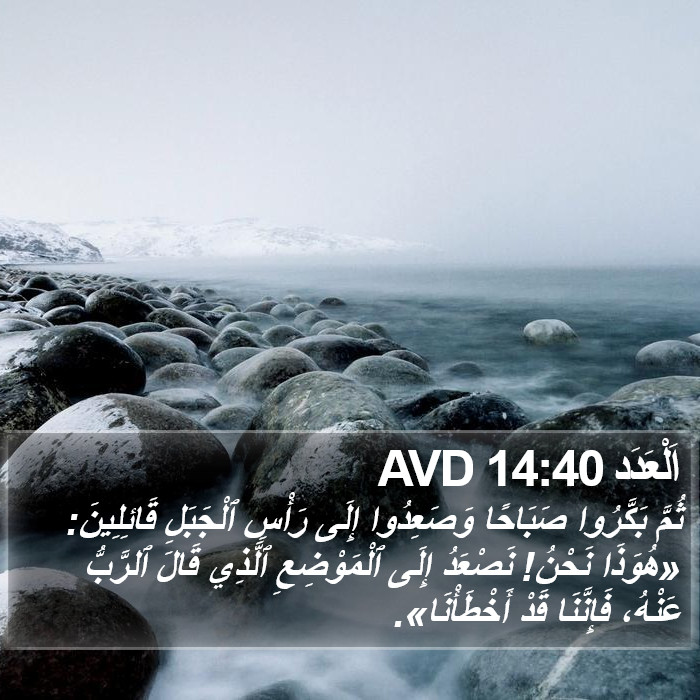 اَلْعَدَد 14:40 AVD Bible Study