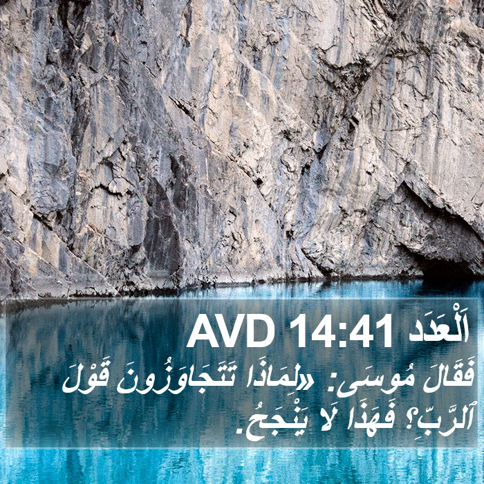 اَلْعَدَد 14:41 AVD Bible Study