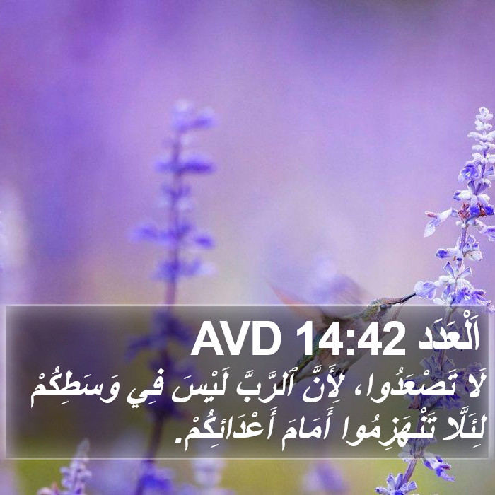 اَلْعَدَد 14:42 AVD Bible Study