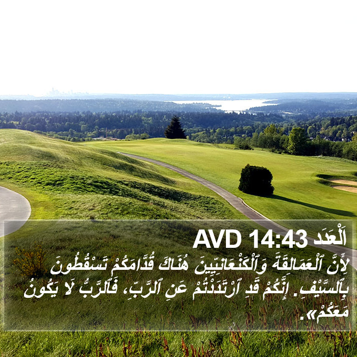 اَلْعَدَد 14:43 AVD Bible Study