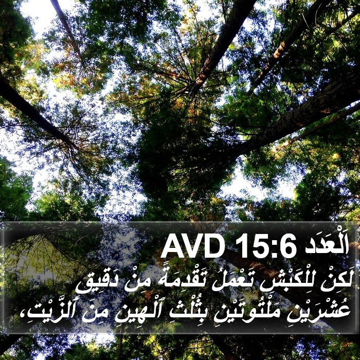 اَلْعَدَد 15:6 AVD Bible Study