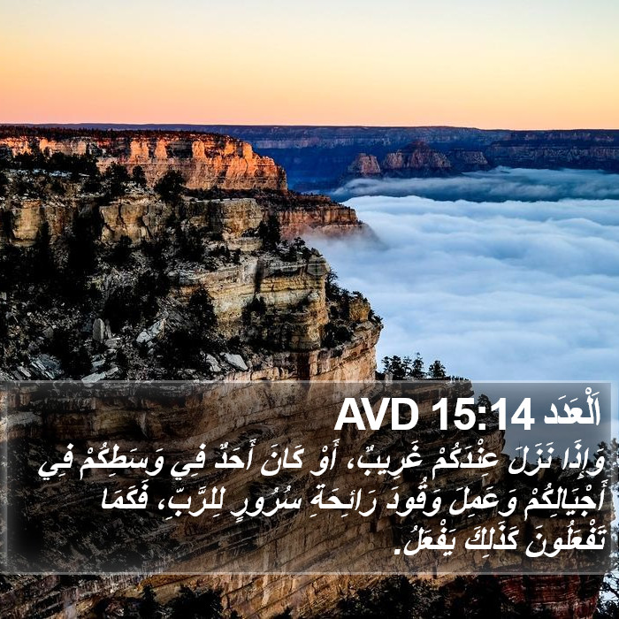 اَلْعَدَد 15:14 AVD Bible Study