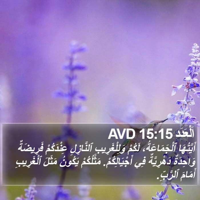 اَلْعَدَد 15:15 AVD Bible Study