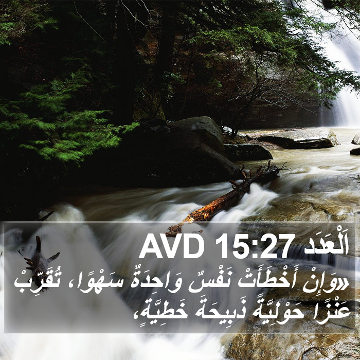 اَلْعَدَد 15:27 AVD Bible Study