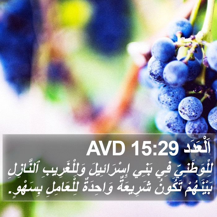 اَلْعَدَد 15:29 AVD Bible Study