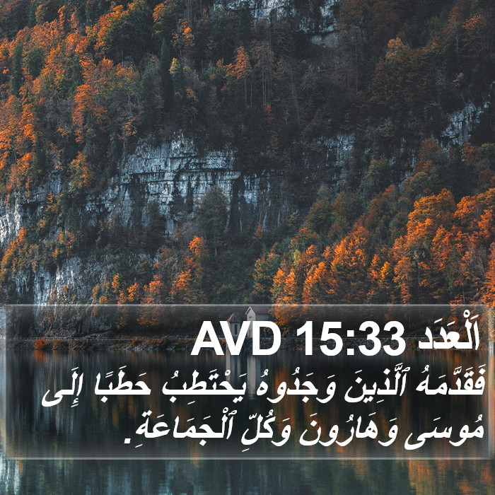 اَلْعَدَد 15:33 AVD Bible Study