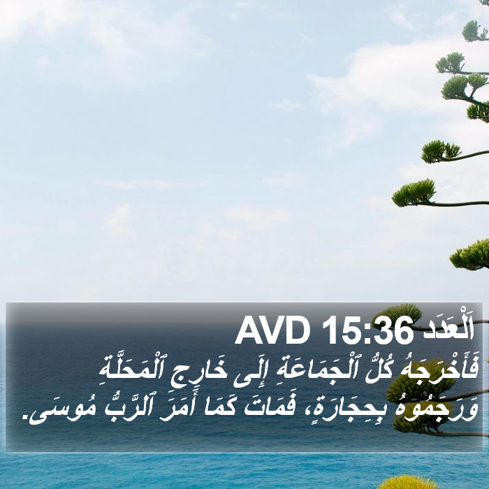 اَلْعَدَد 15:36 AVD Bible Study