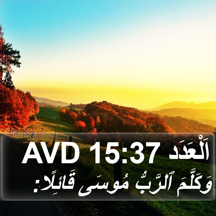 اَلْعَدَد 15:37 AVD Bible Study