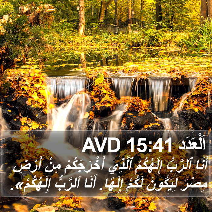 اَلْعَدَد 15:41 AVD Bible Study
