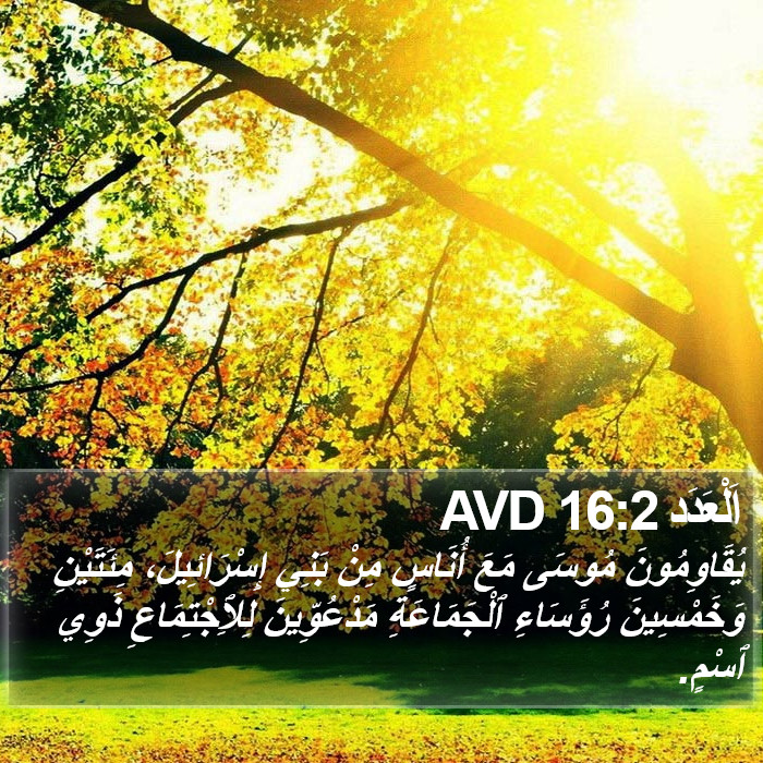 اَلْعَدَد 16:2 AVD Bible Study