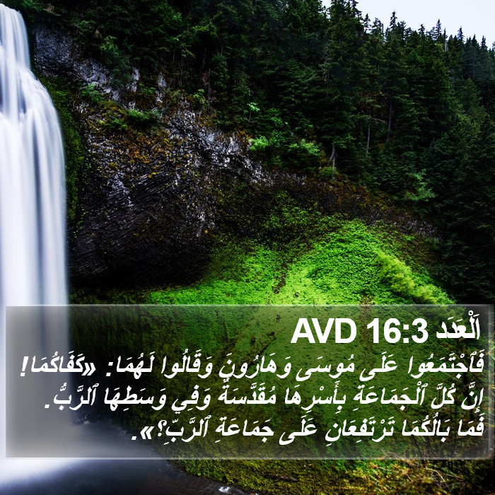 اَلْعَدَد 16:3 AVD Bible Study