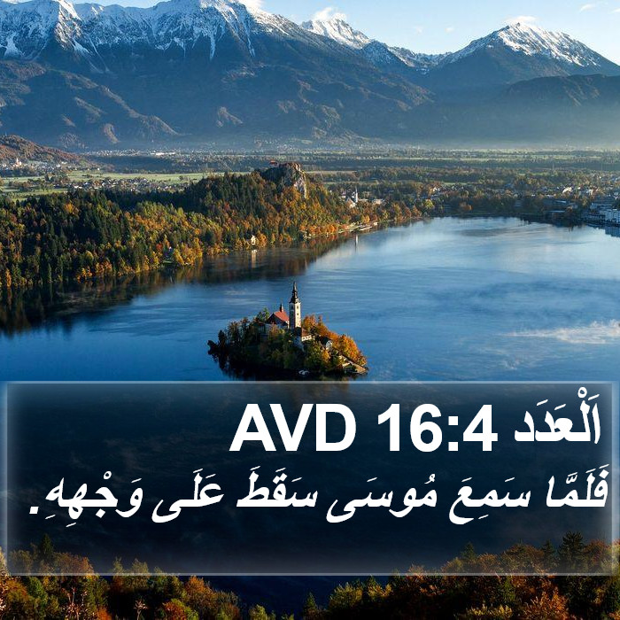 اَلْعَدَد 16:4 AVD Bible Study