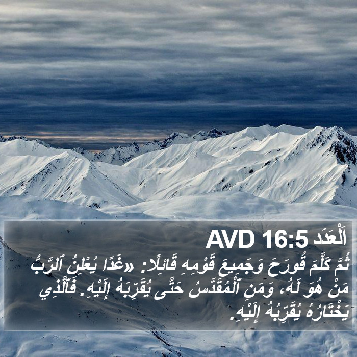 اَلْعَدَد 16:5 AVD Bible Study