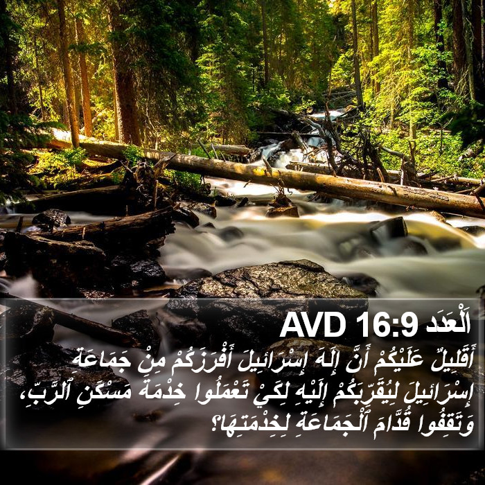 اَلْعَدَد 16:9 AVD Bible Study