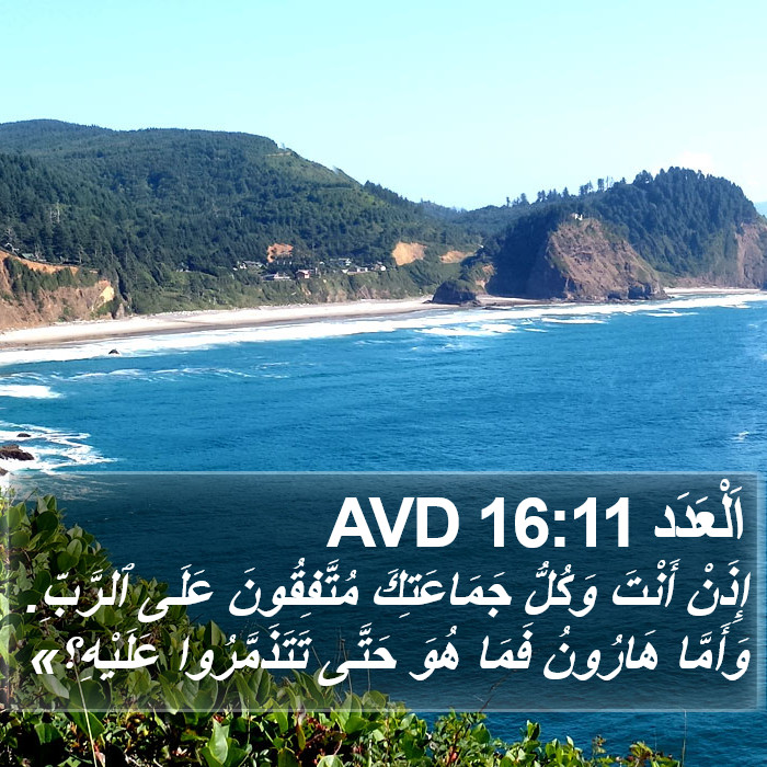 اَلْعَدَد 16:11 AVD Bible Study