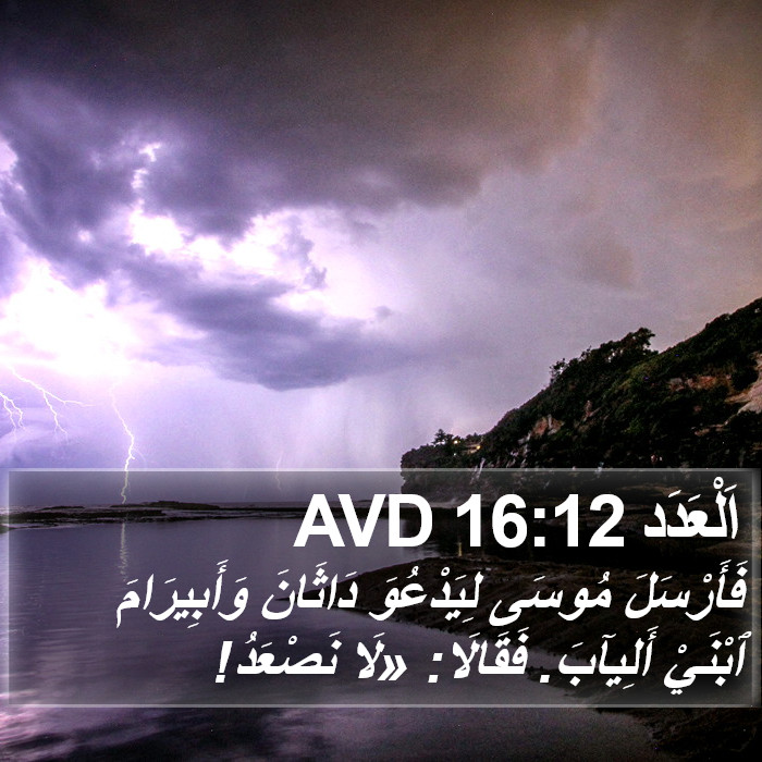 اَلْعَدَد 16:12 AVD Bible Study