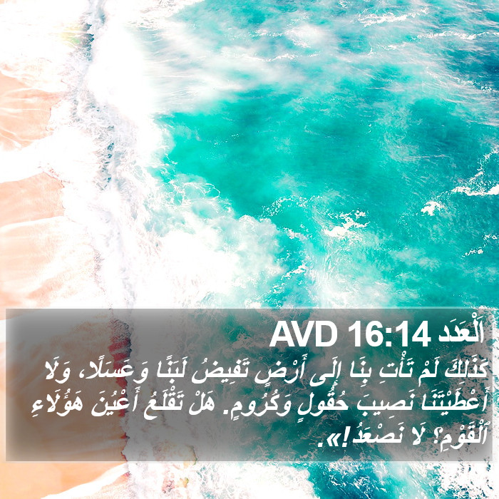 اَلْعَدَد 16:14 AVD Bible Study