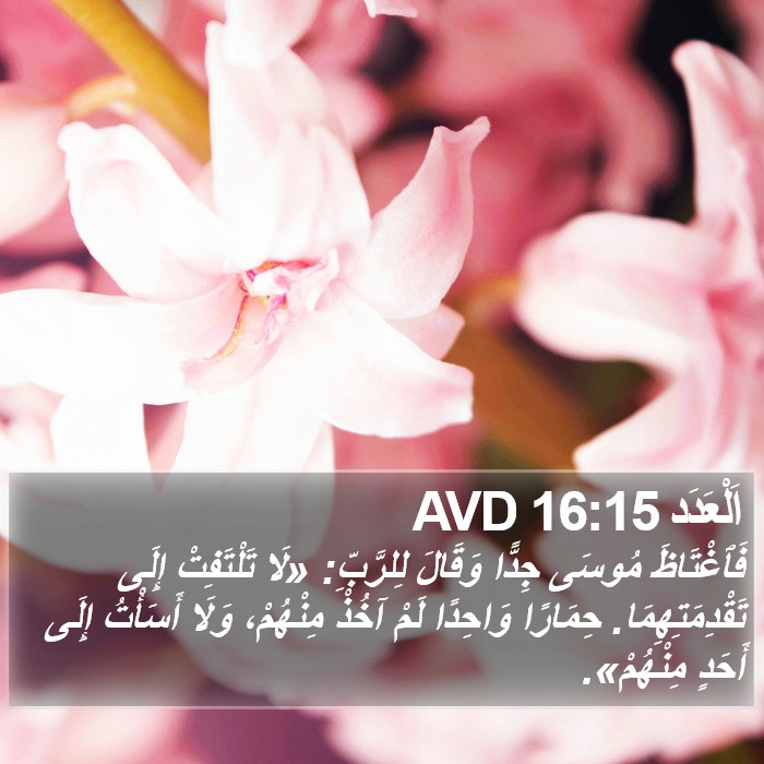 اَلْعَدَد 16:15 AVD Bible Study