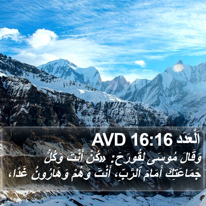 اَلْعَدَد 16:16 AVD Bible Study