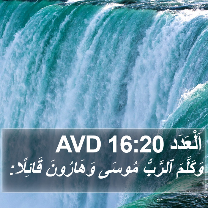 اَلْعَدَد 16:20 AVD Bible Study