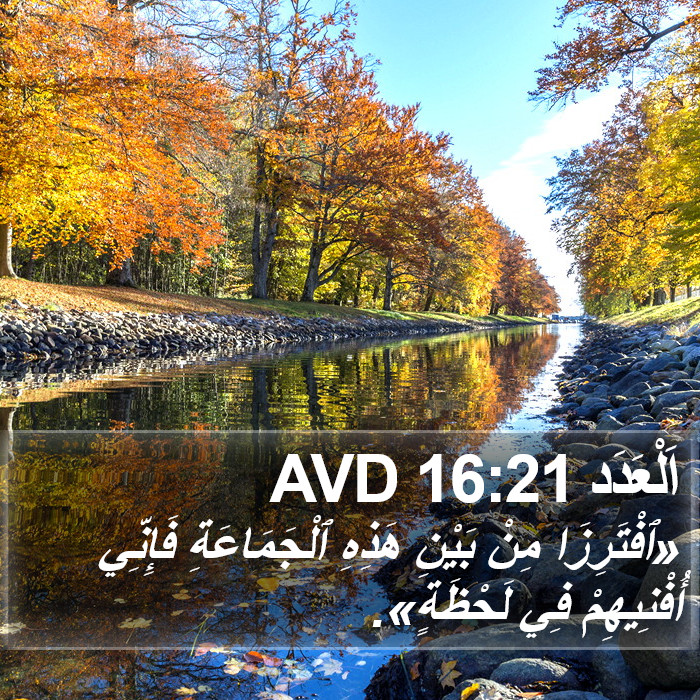 اَلْعَدَد 16:21 AVD Bible Study