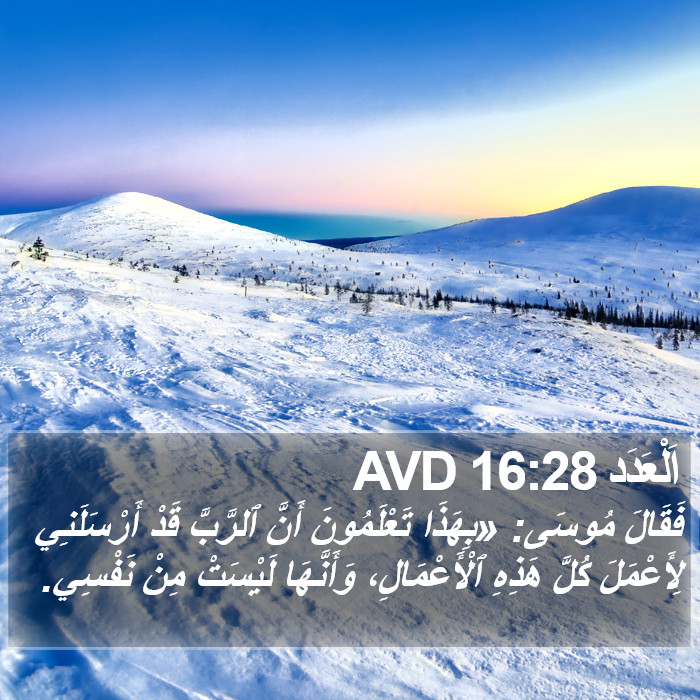 اَلْعَدَد 16:28 AVD Bible Study