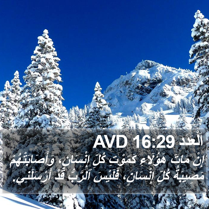 اَلْعَدَد 16:29 AVD Bible Study