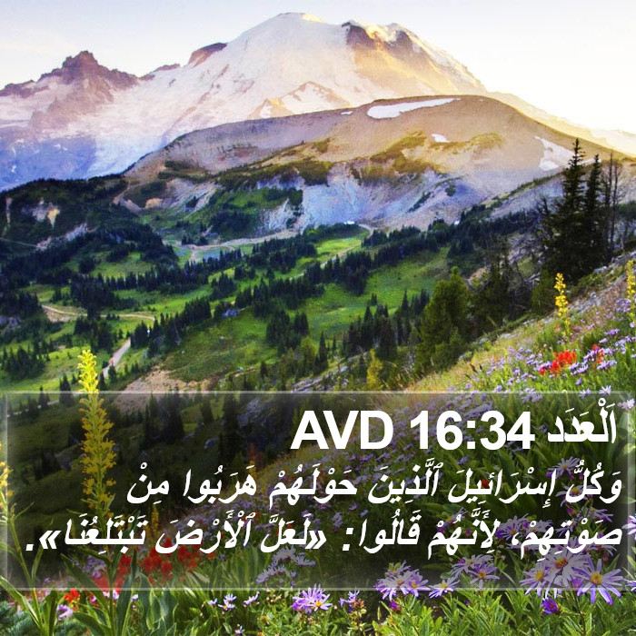 اَلْعَدَد 16:34 AVD Bible Study