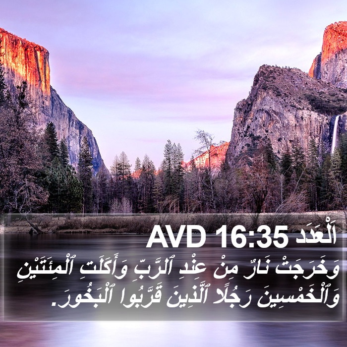 اَلْعَدَد 16:35 AVD Bible Study