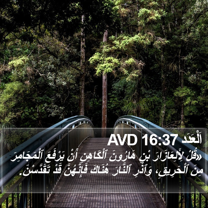 اَلْعَدَد 16:37 AVD Bible Study