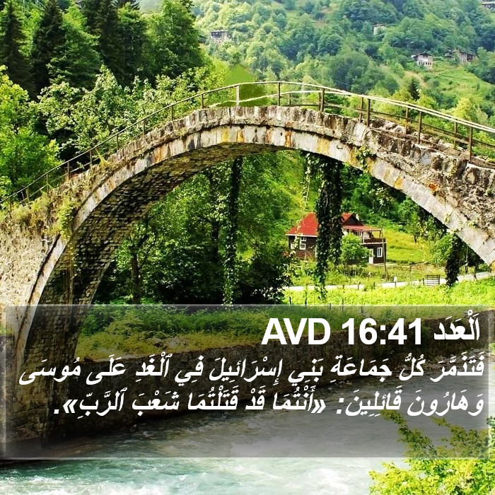 اَلْعَدَد 16:41 AVD Bible Study