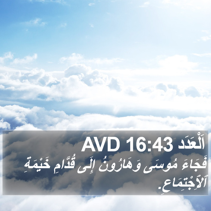 اَلْعَدَد 16:43 AVD Bible Study