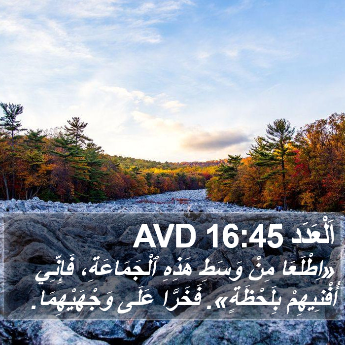 اَلْعَدَد 16:45 AVD Bible Study