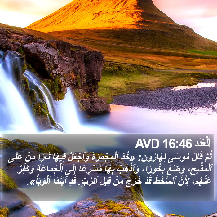 اَلْعَدَد 16:46 AVD Bible Study