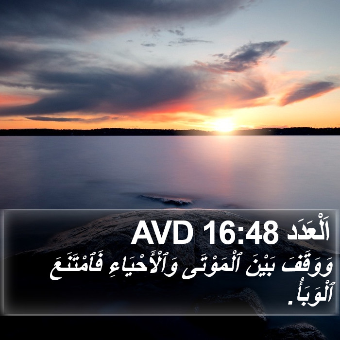 اَلْعَدَد 16:48 AVD Bible Study