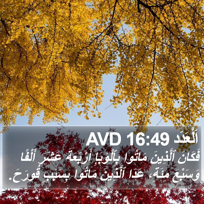 اَلْعَدَد 16:49 AVD Bible Study