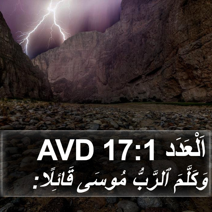 اَلْعَدَد 17:1 AVD Bible Study