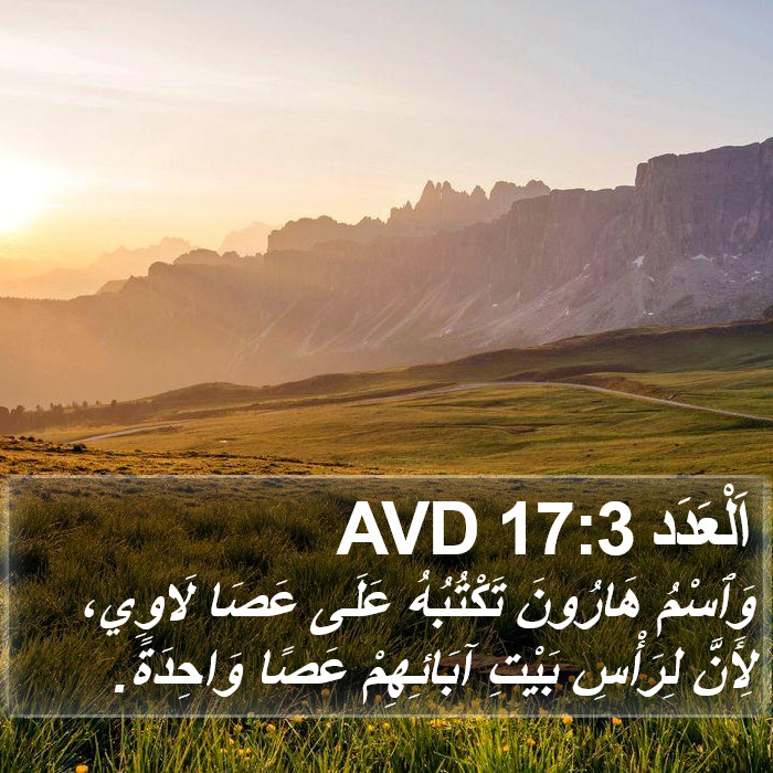اَلْعَدَد 17:3 AVD Bible Study