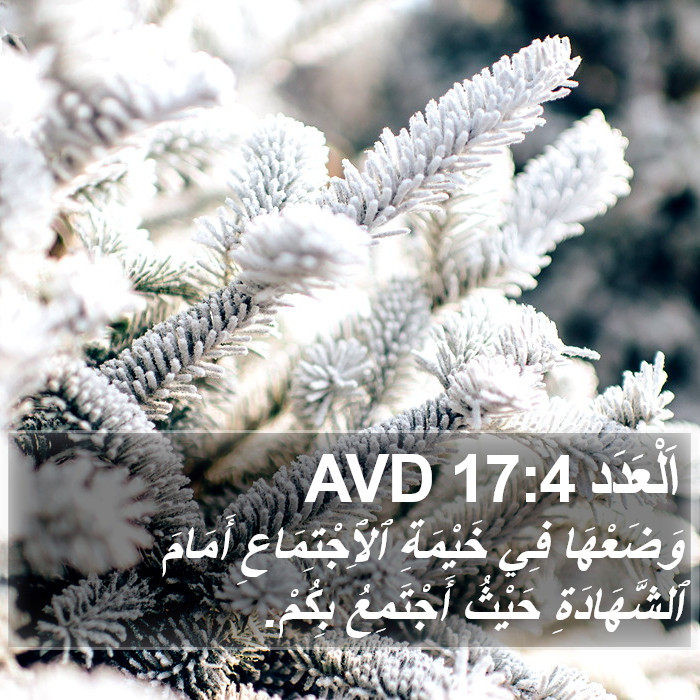 اَلْعَدَد 17:4 AVD Bible Study