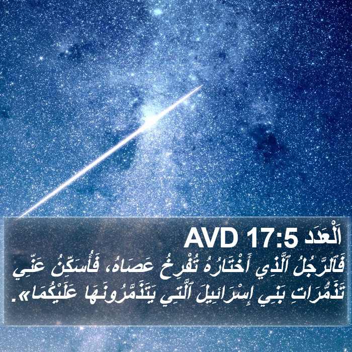 اَلْعَدَد 17:5 AVD Bible Study