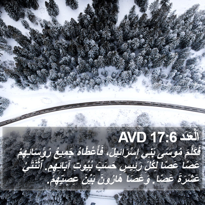 اَلْعَدَد 17:6 AVD Bible Study