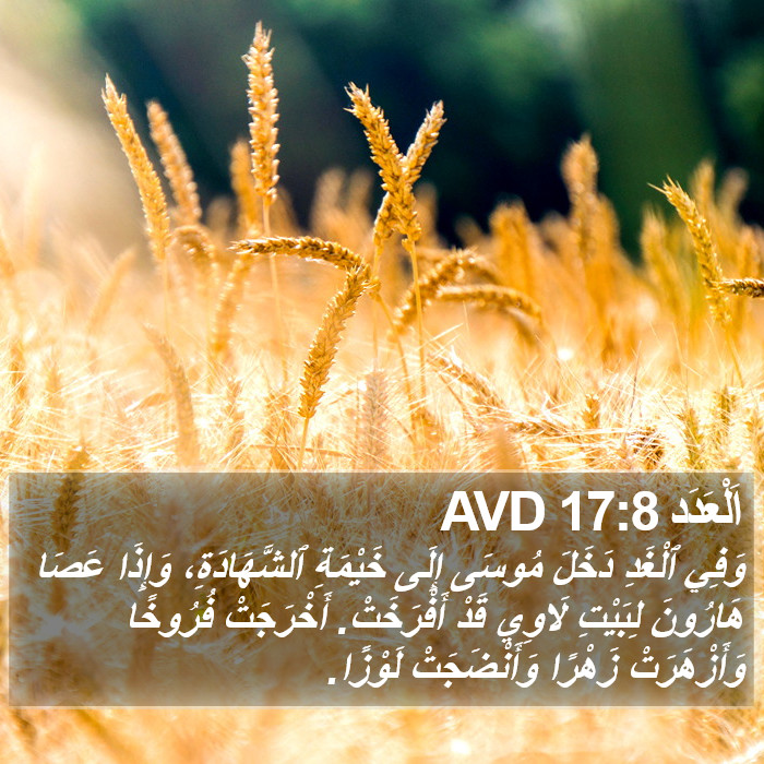 اَلْعَدَد 17:8 AVD Bible Study