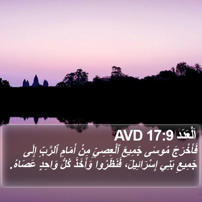 اَلْعَدَد 17:9 AVD Bible Study