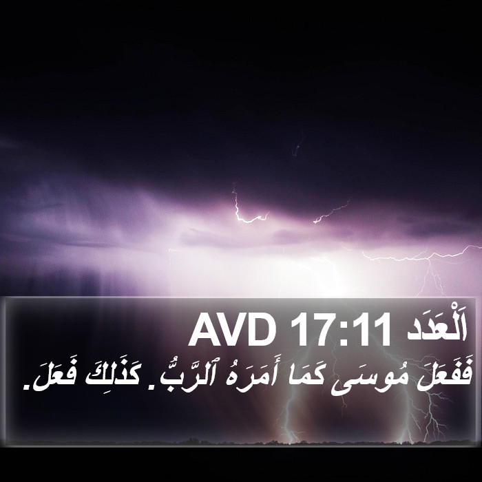 اَلْعَدَد 17:11 AVD Bible Study