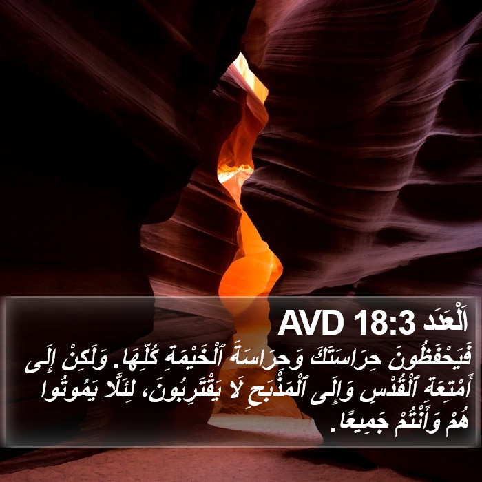 اَلْعَدَد 18:3 AVD Bible Study