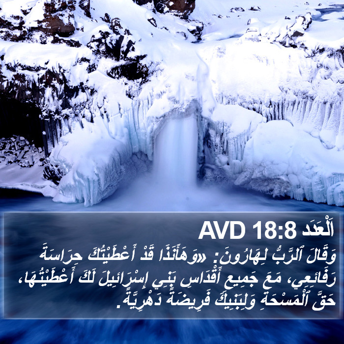 اَلْعَدَد 18:8 AVD Bible Study
