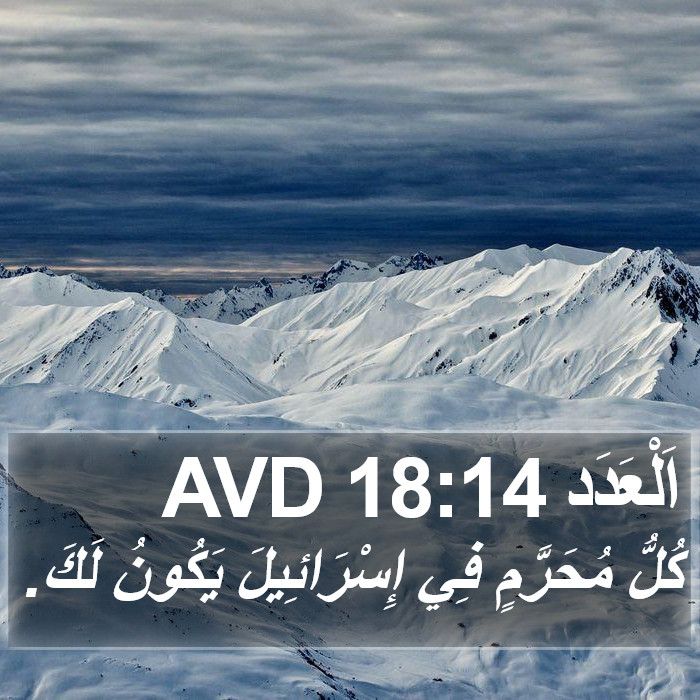 اَلْعَدَد 18:14 AVD Bible Study