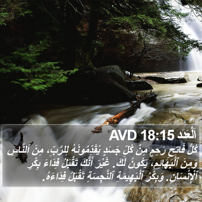 اَلْعَدَد 18:15 AVD Bible Study