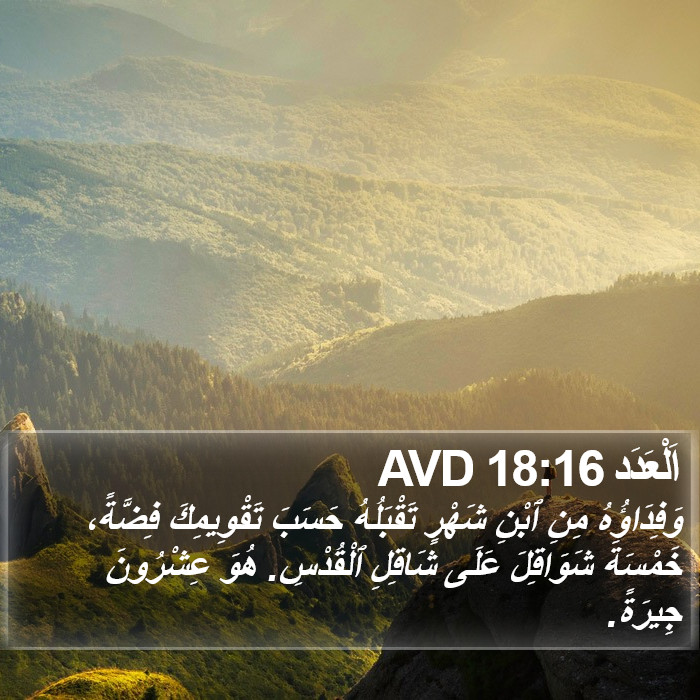 اَلْعَدَد 18:16 AVD Bible Study